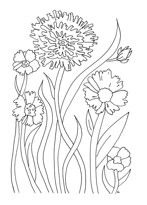 flower outline coloring page|simple flower pattern coloring pages.